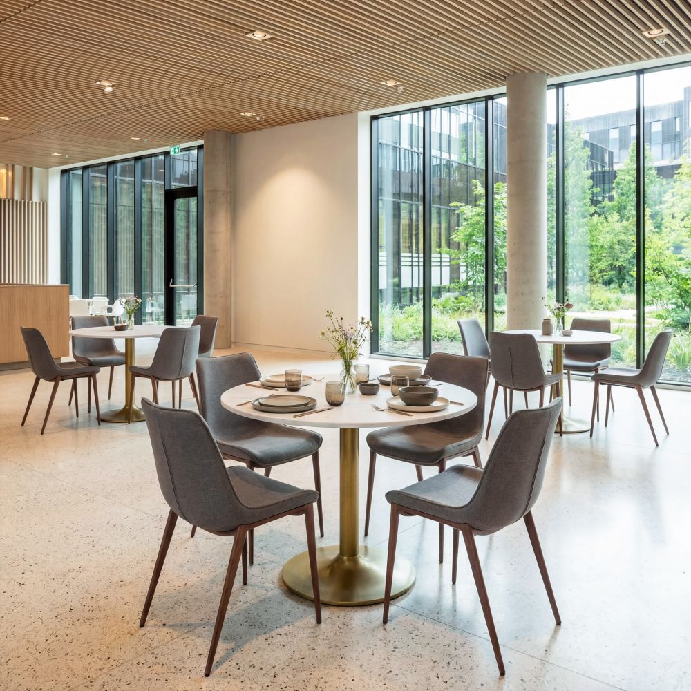 109934 - Magnus Dining Chair Slate Gray & Walnut